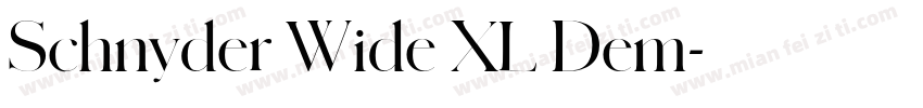 Schnyder Wide XL Dem字体转换